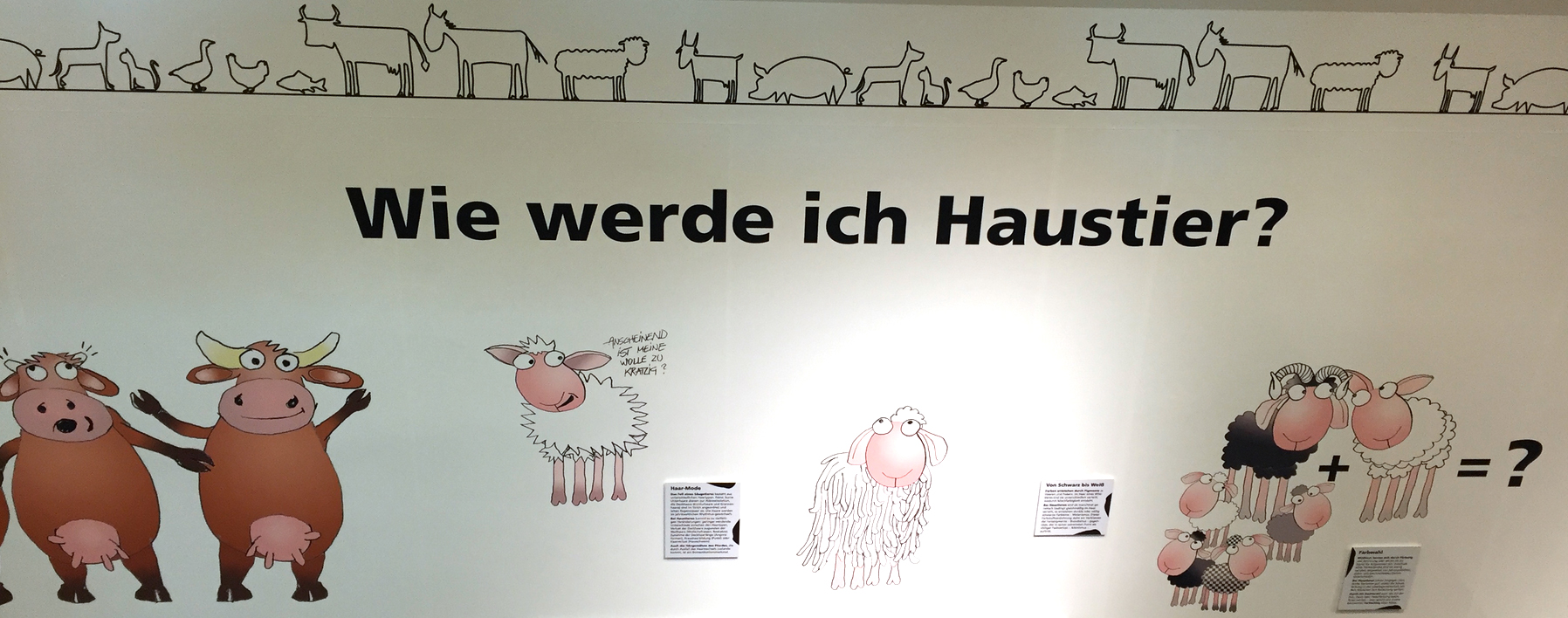 Dieses Bild aus dem Museum Niederösterreich zeigt eine Tafel mit illustrativen Abbildungen von Kühen, Schafen und Schweinen sowie den Schriftzug wie werde ich Haustier?