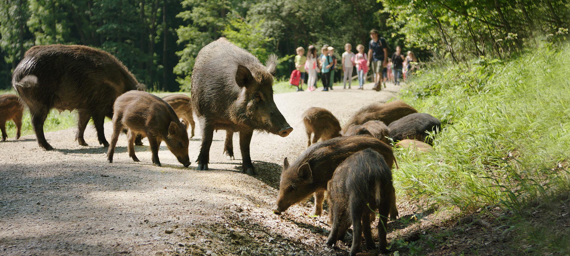 18_naturparksparbach