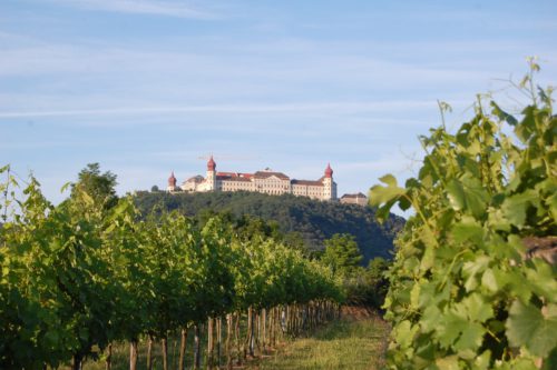 Göttweiger Berg mit Blick durch die Weingärten