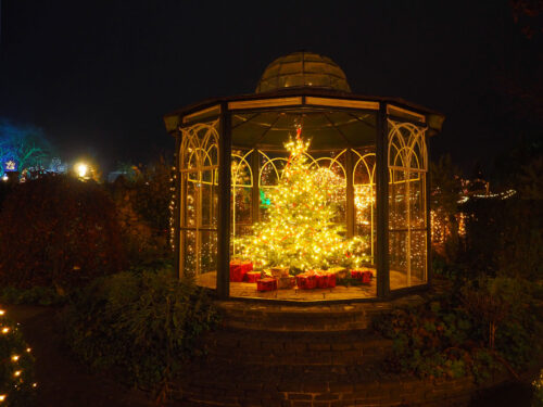 Christbaum im Rosenpavillon