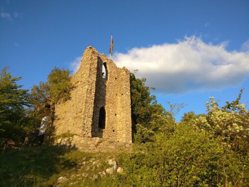 Köhlerhaus Ruine