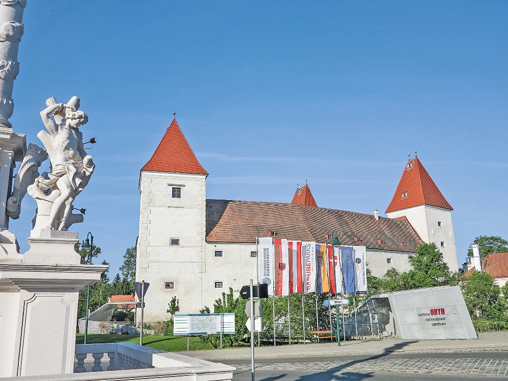 Frau treffen in orth an der donau - Professionelle 