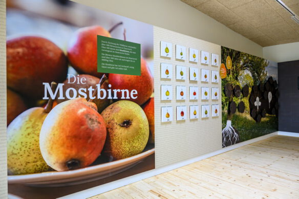 Mostbirnenkunde Birnerlebniswelt im Tierpark Stadt Haag